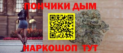 твердый Кингисепп