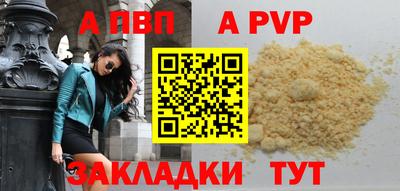 твердый Кингисепп