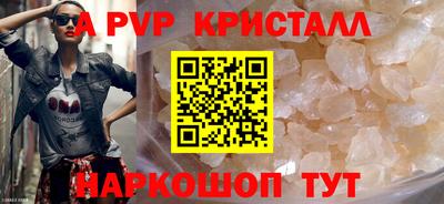 твердый Кингисепп