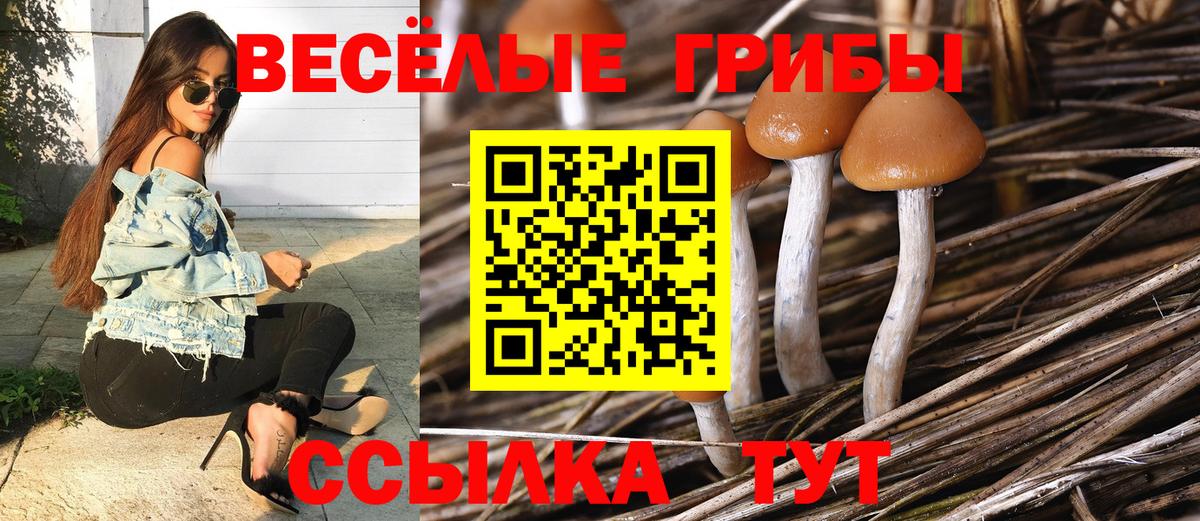 Галлюциногенные грибы Magic Shrooms  Псилоцибиновые грибы Magic Shrooms  Кстово  Вход с VPN 